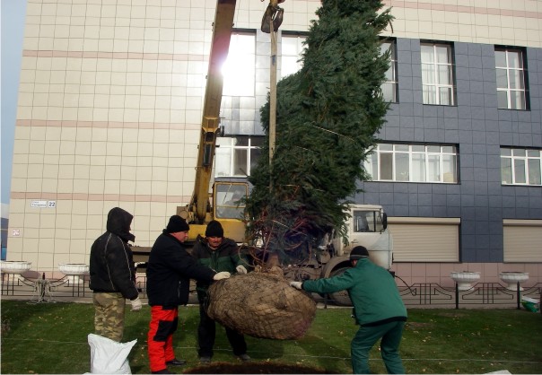 Осенние посадки Осенние посадки