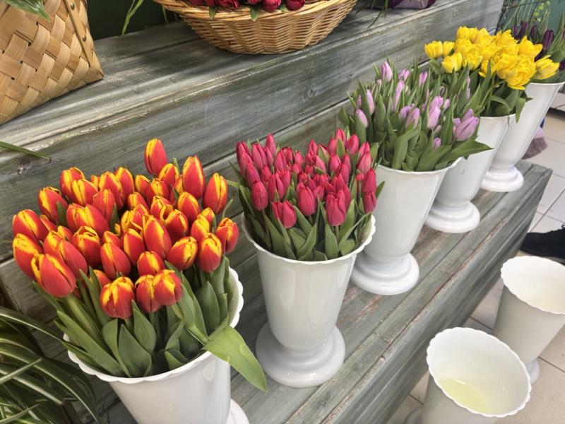 Ваши тюльпаны уже у нас!