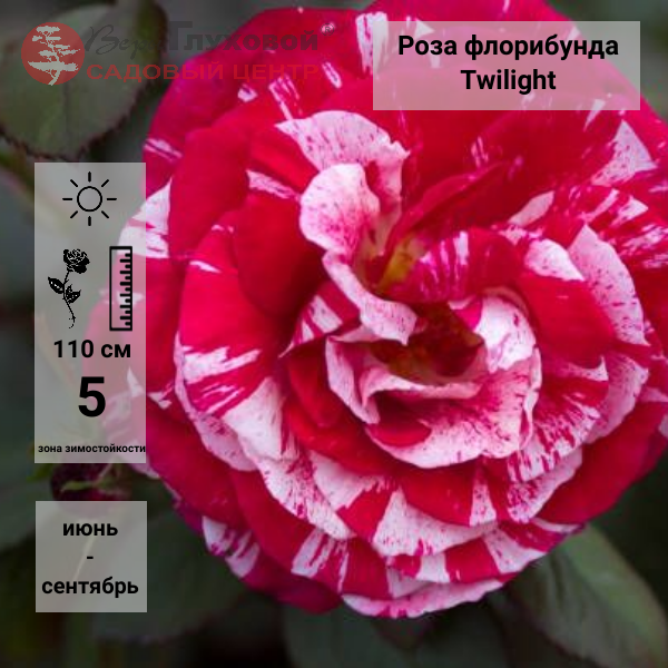 Основное изображение товара