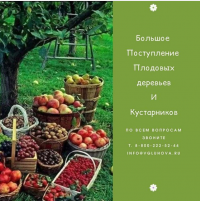 Новое поступление растений: осень 2020