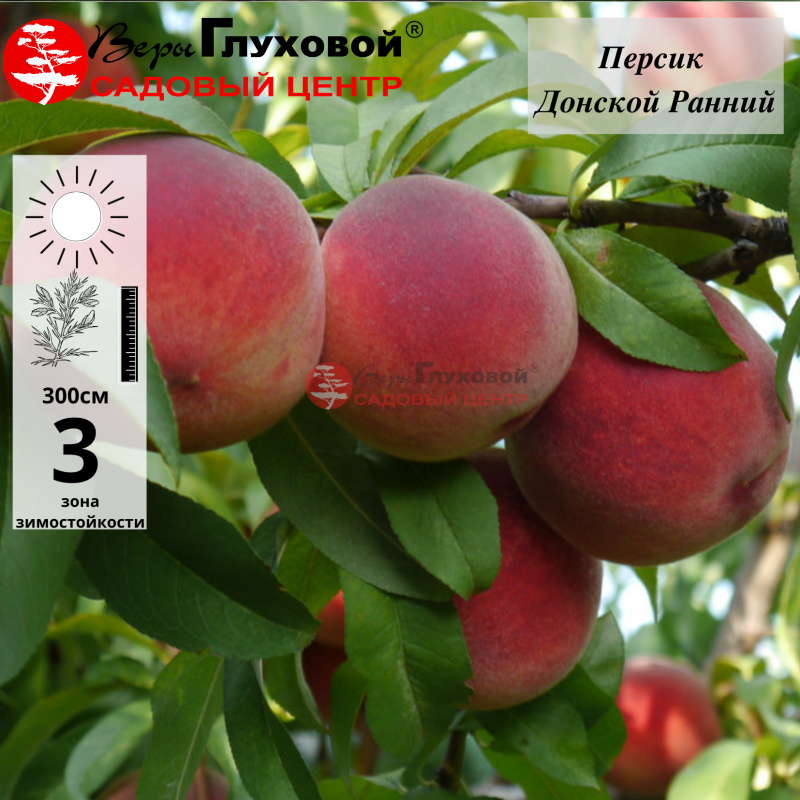 Основное изображение товара