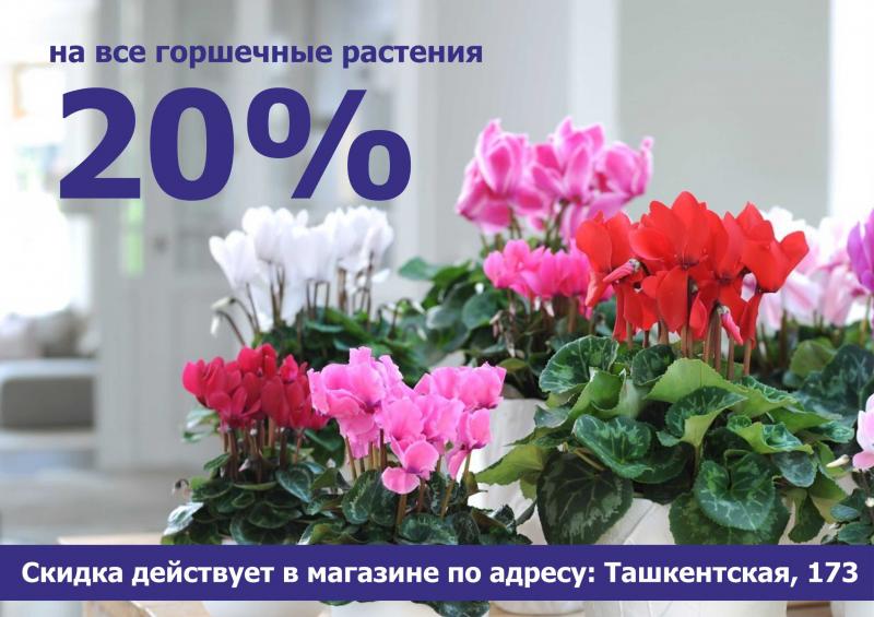 Продолжаем радовать весной! 