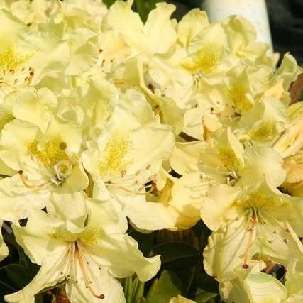 Основное изображение товара