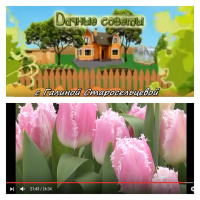 14 февраля новый выпуск Дачных советов