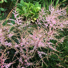 Основное изображение товара