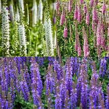 Основное изображение товара