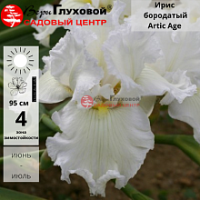 Основное изображение товара