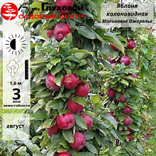 Основное изображение товара