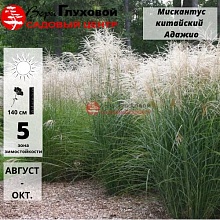 Основное изображение товара