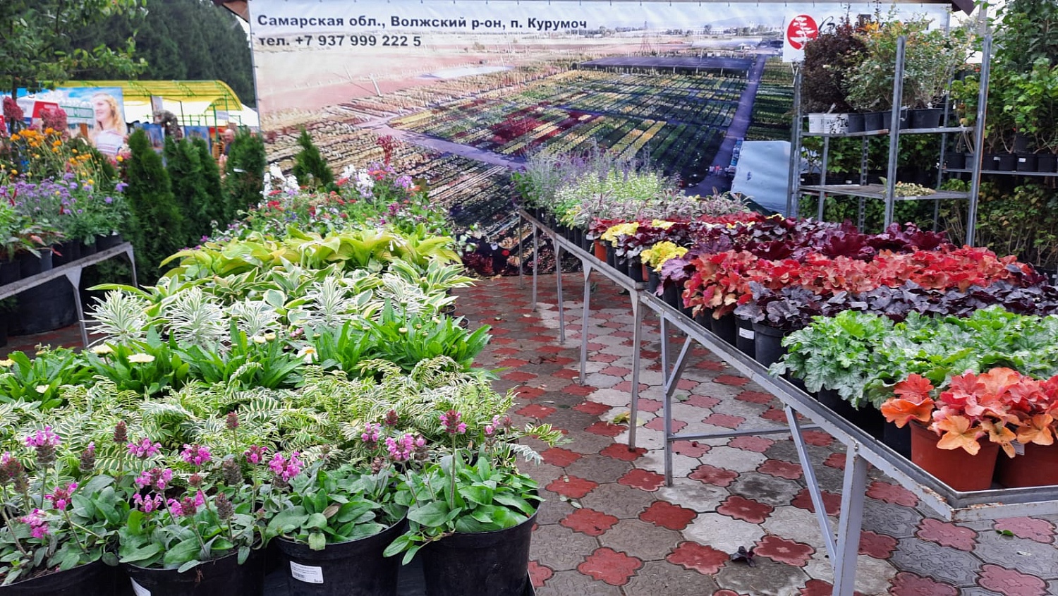 10 - 11 сентября в Усть-Кинельский состоялось открытие XXIII Поволжской агропромышленной выставки.