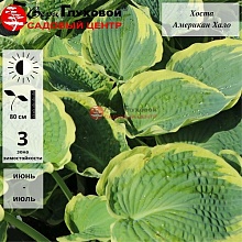 Основное изображение товара