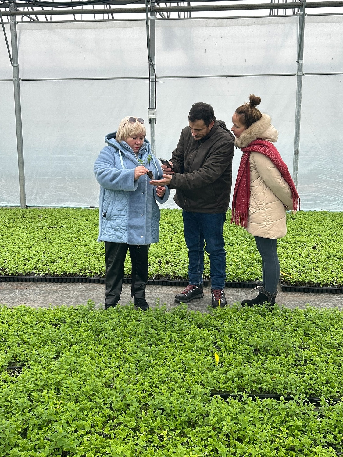 Международные эксперты в Питомнике и садовом центре Веры Глухово