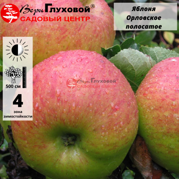 Рисунок 311.jpg