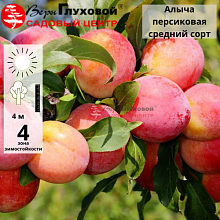 Основное изображение товара