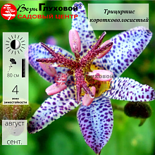 Основное изображение товара