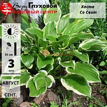 Основное изображение товара