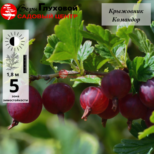 Рисунок 94.jpg