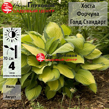 Основное изображение товара