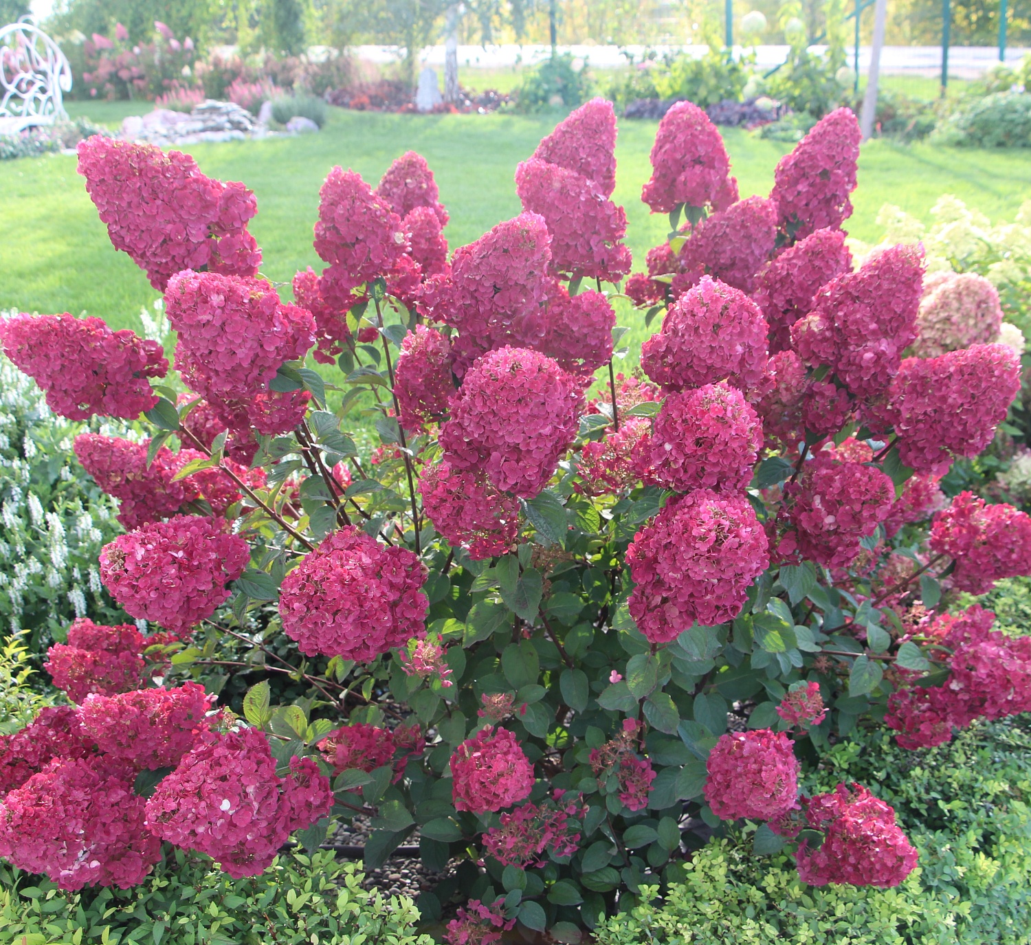 Безусловный лидер продаж